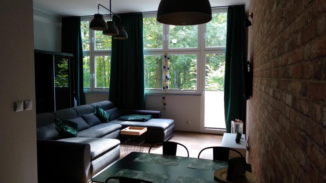 Apartament 5 Przy Parku Lesnym Поляница-Здрой Екстериор снимка