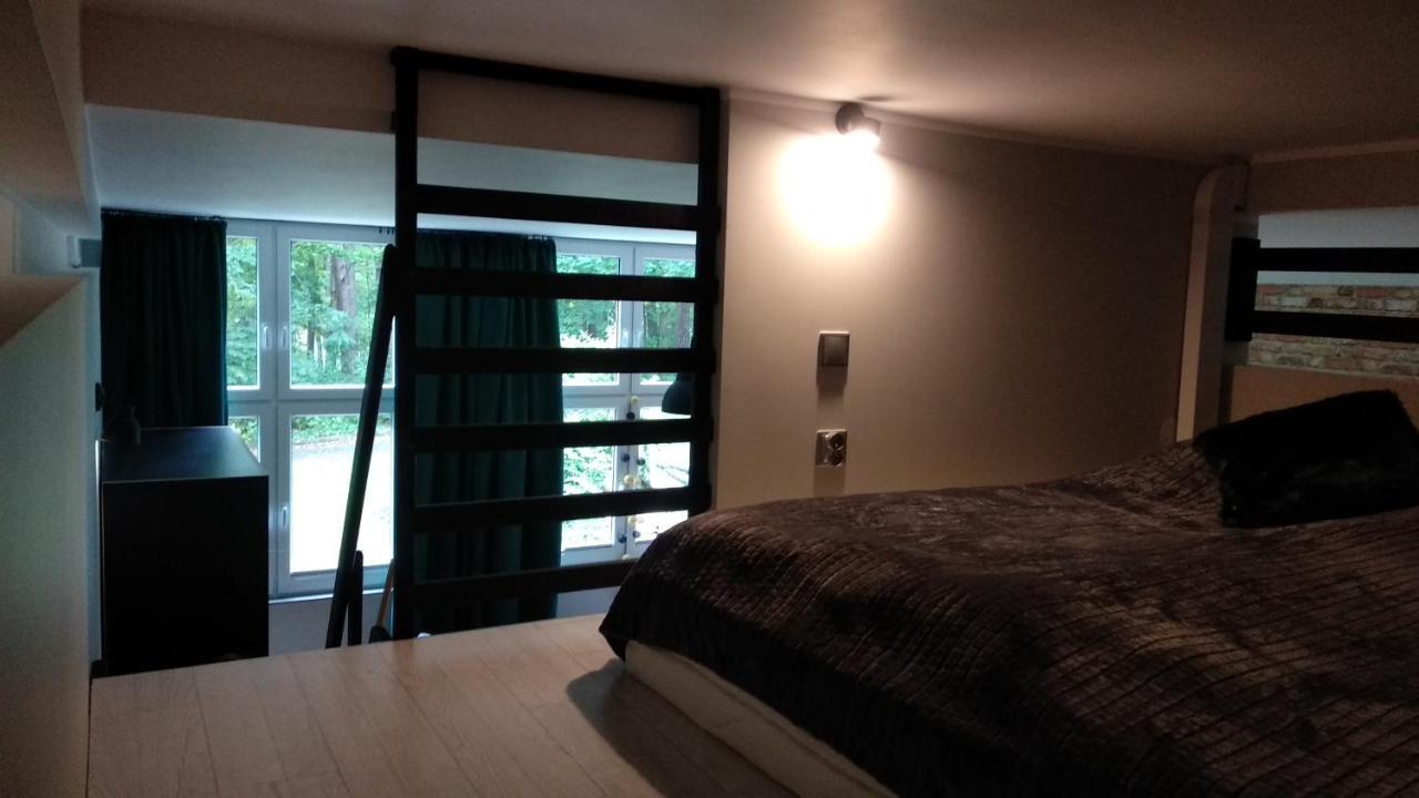 Apartament 5 Przy Parku Lesnym Поляница-Здрой Екстериор снимка